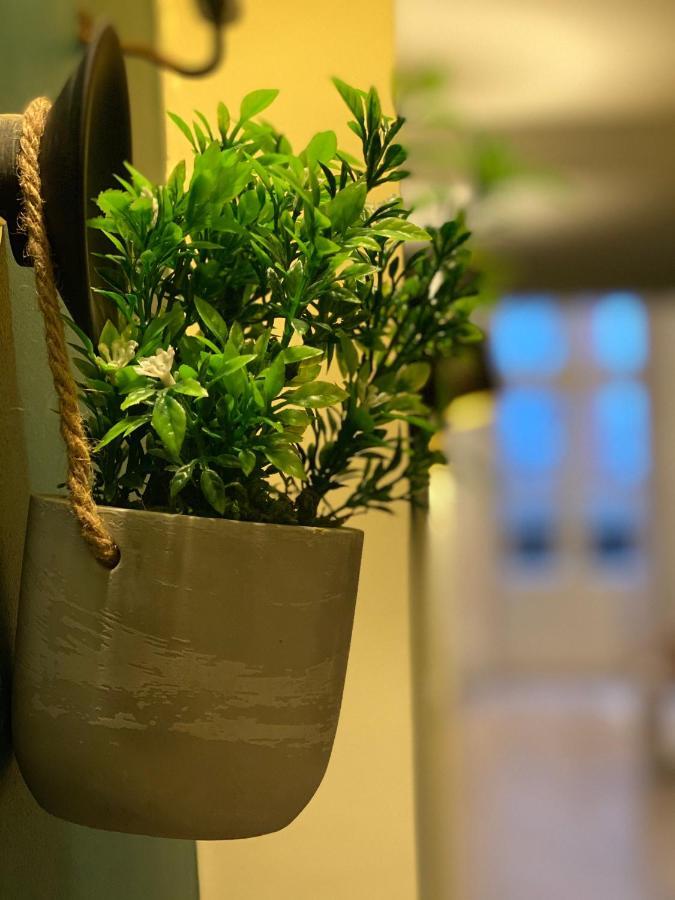 La Parenthese Gourmande Avec Clim Et Parking Apartment Монтобан Екстериор снимка